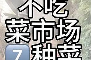 意媒：西汉姆和水晶宫可能报价1000万欧，与尤文竞争弗伦德鲁普